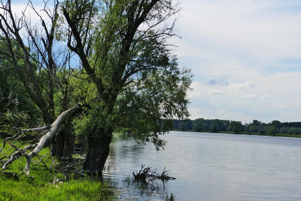 Auf Der Stadtinsel * Havelberg